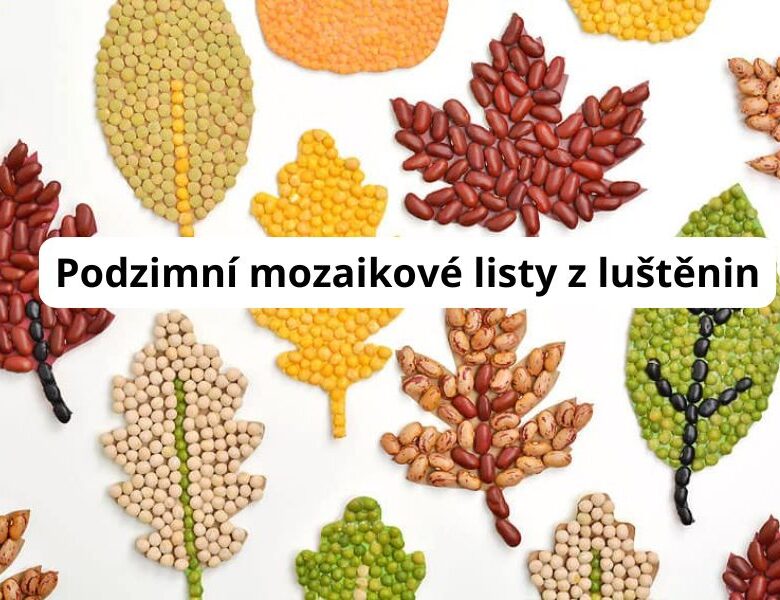 Podzimní mozaiky z luštěnin