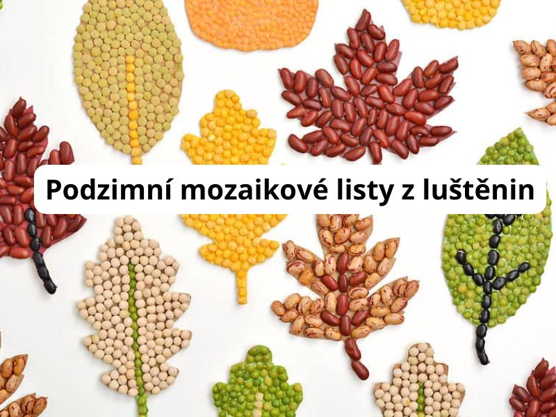 Podzimní mozaiky z luštěnin